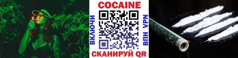 Кокаин FishScale  где продают наркотики  Ставрополь 