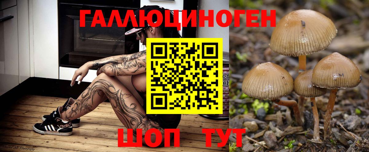 Галлюциногенные грибы Magic Shrooms Ставрополь