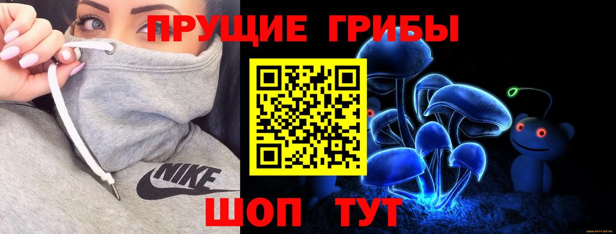 продажа наркотиков  Псилоцибиновые грибы Psilocybe  Вход с VPN  Ставрополь 